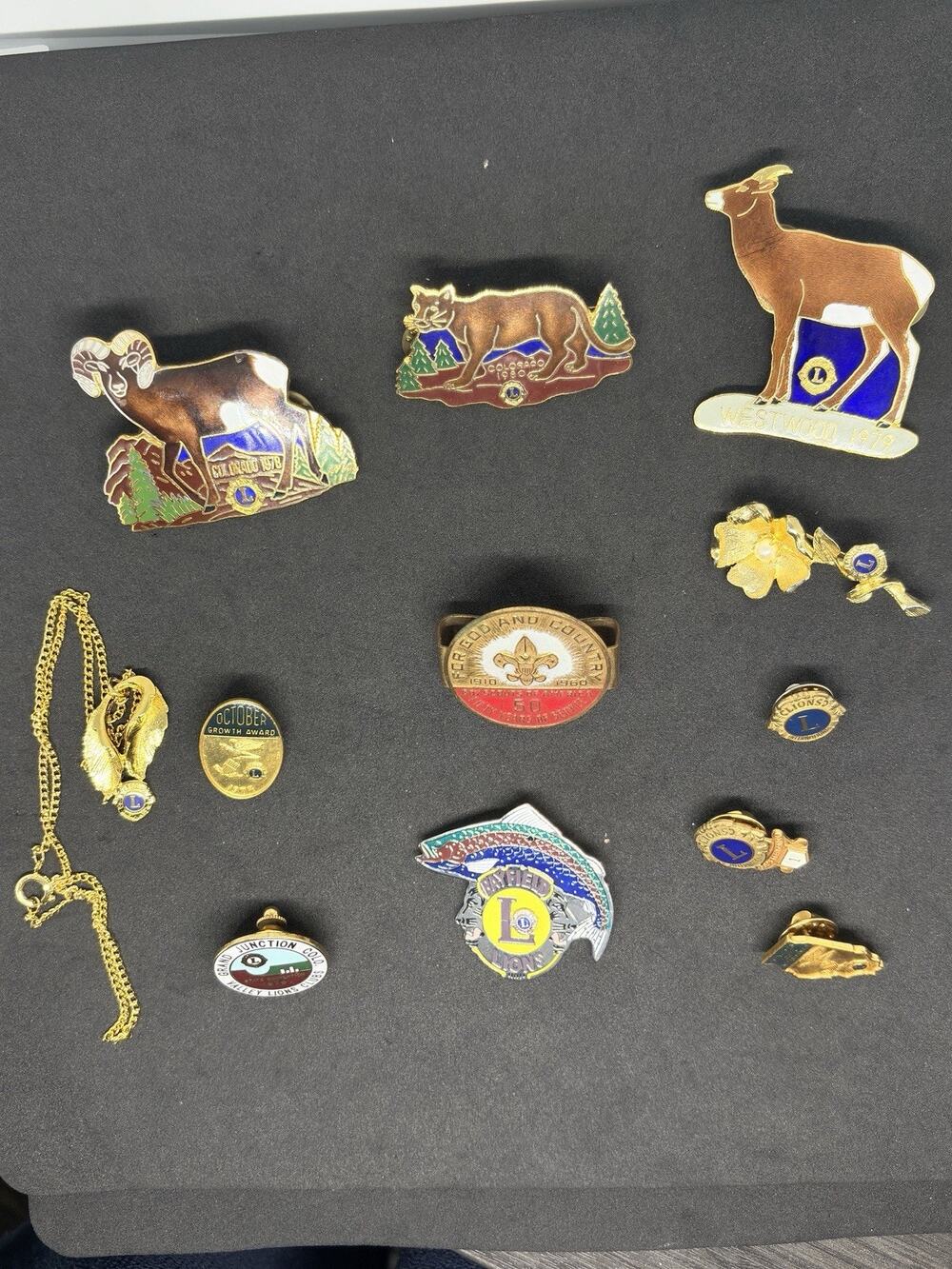 Vintage Golden Lions Lion’s Club Colorado Lapel Pin Brooch & Necklace Lot